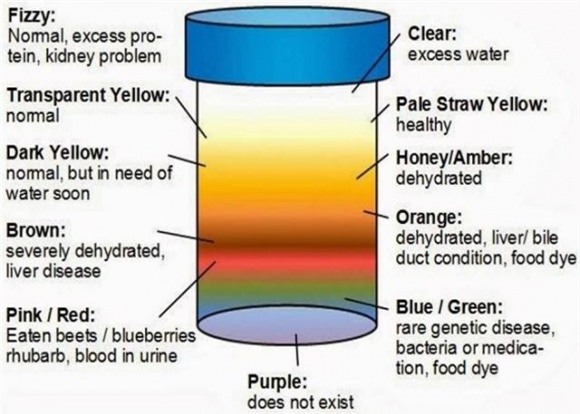 thay đổi của cơ thể, thay đổi của cơ thể của người phụ nữ, bất thường trên cơ thể, hồi chuông cảnh báo về sức khỏe