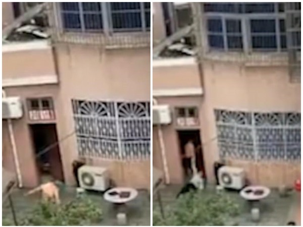 Clip: Con trai bất hiếu kéo lê mẹ già trên sân khiến dư luận phẫn nộ - Ảnh 3.