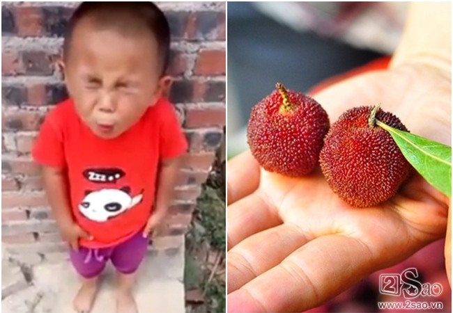 Bieu-cam-cua-em-be-lan-dau-an-chanh-khien-trieu-nguoi-me-tit3