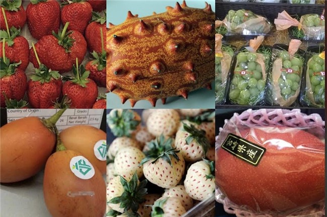 hoa quả nhập khẩu, hoa quả độc lạ, hoa quả nhật bản, dân giàu việt, đặc sản nhà giàu