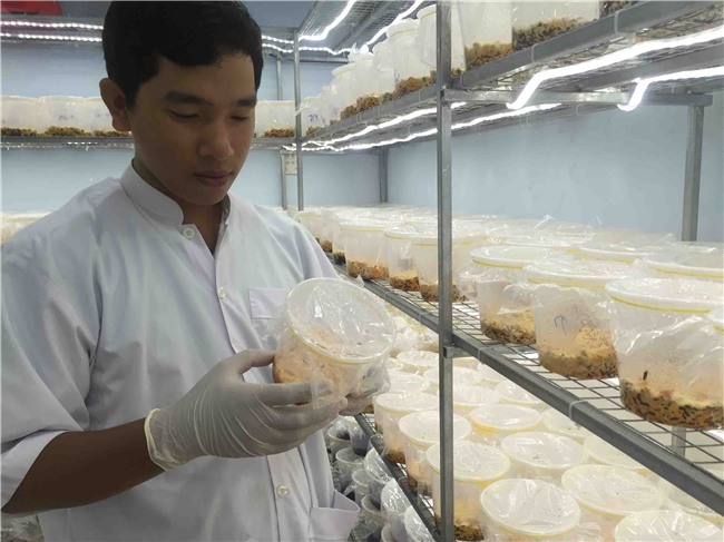 clip: “can cu bi mat” san xuat duoc lieu quy hiem cua 9x can tho hinh anh 1