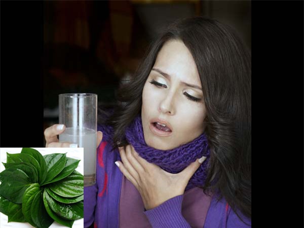 loai la kiem dau cung co nay khong ngo lai co tac dung tri benh hieu qua nhu vay - 3