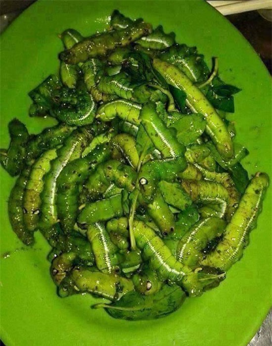 nhung mon an kinh di du la dan pham an cung chang dam nuot - 1