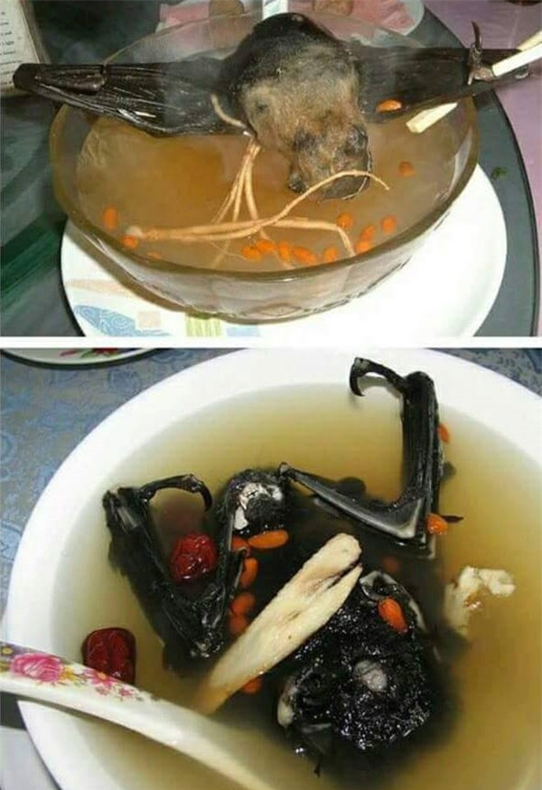 nhung mon an kinh di du la dan pham an cung chang dam nuot - 14