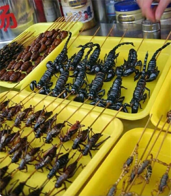 nhung mon an kinh di du la dan pham an cung chang dam nuot - 15