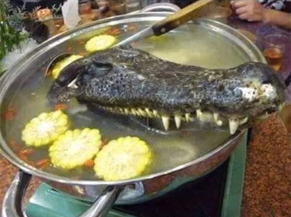 nhung mon an kinh di du la dan pham an cung chang dam nuot - 16