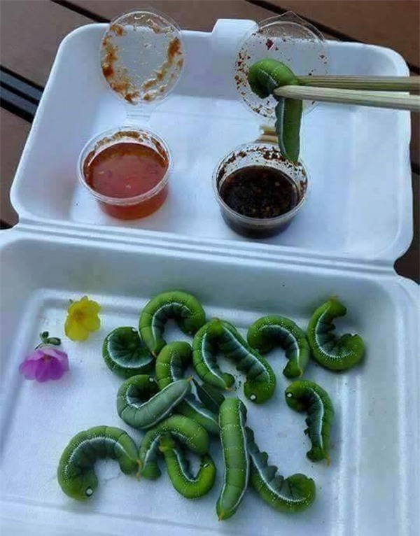 nhung mon an kinh di du la dan pham an cung chang dam nuot - 17