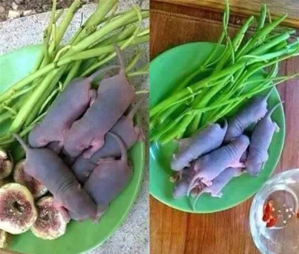 nhung mon an kinh di du la dan pham an cung chang dam nuot - 18