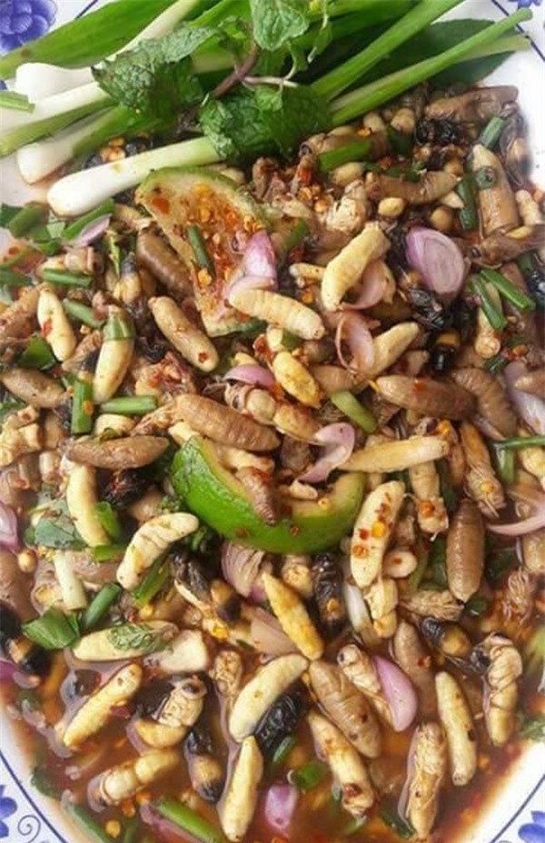 nhung mon an kinh di du la dan pham an cung chang dam nuot - 6