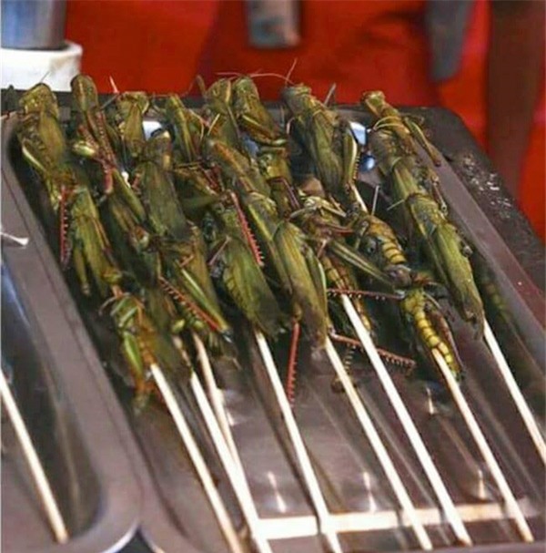 nhung mon an kinh di du la dan pham an cung chang dam nuot - 9