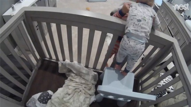 Thấy em bị mẹ nhốt trong cũi, anh trai lên kế hoạch giải cứu cậu em thoát ra ngoài thành công - Ảnh 3.