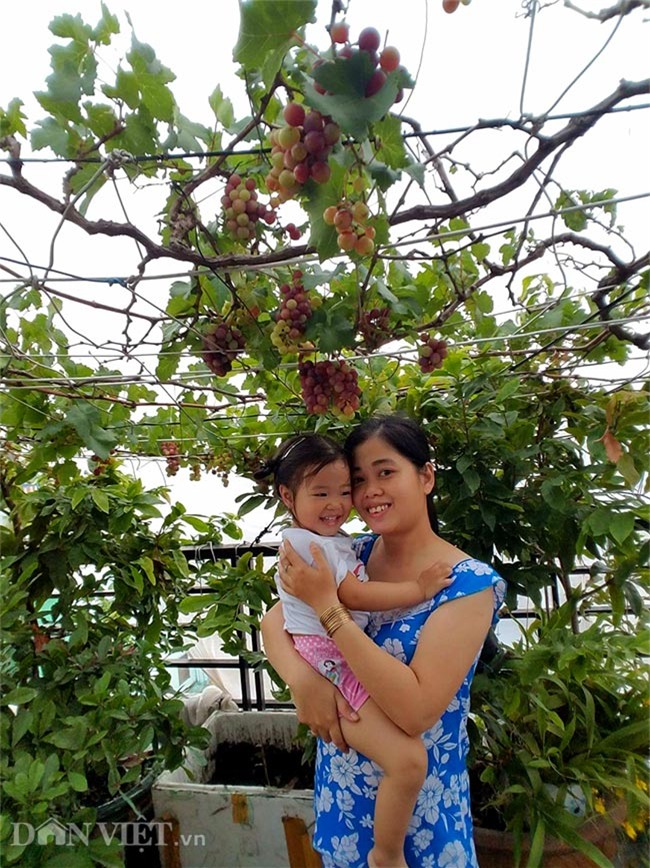 "lac troi" vao vuon nho chin mong cua nong dan be tong giua sai gon hinh anh 4