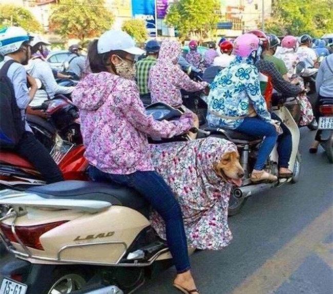 day la nhung hinh anh thoi trang chong nang "ba dao" nhat mua he nam nay - 8