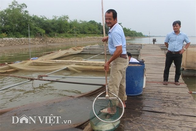 cá chép, nông dân, ngư dân, cá khủng