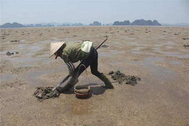 thần dược, hải sản, nhà giàu