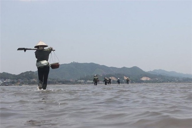 thần dược, hải sản, nhà giàu