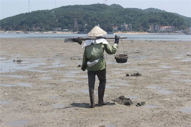 thần dược, hải sản, nhà giàu