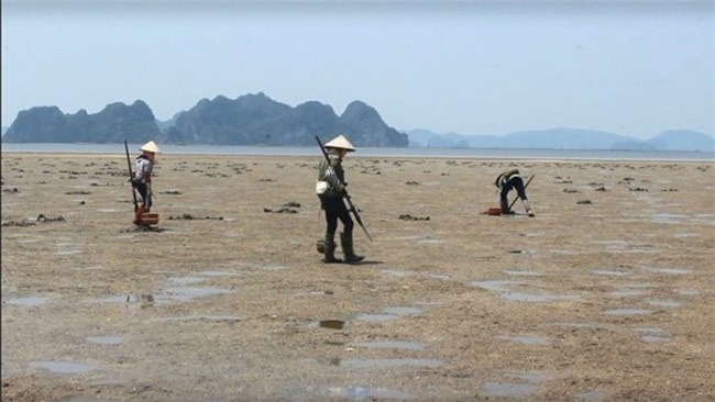 thần dược, hải sản, nhà giàu