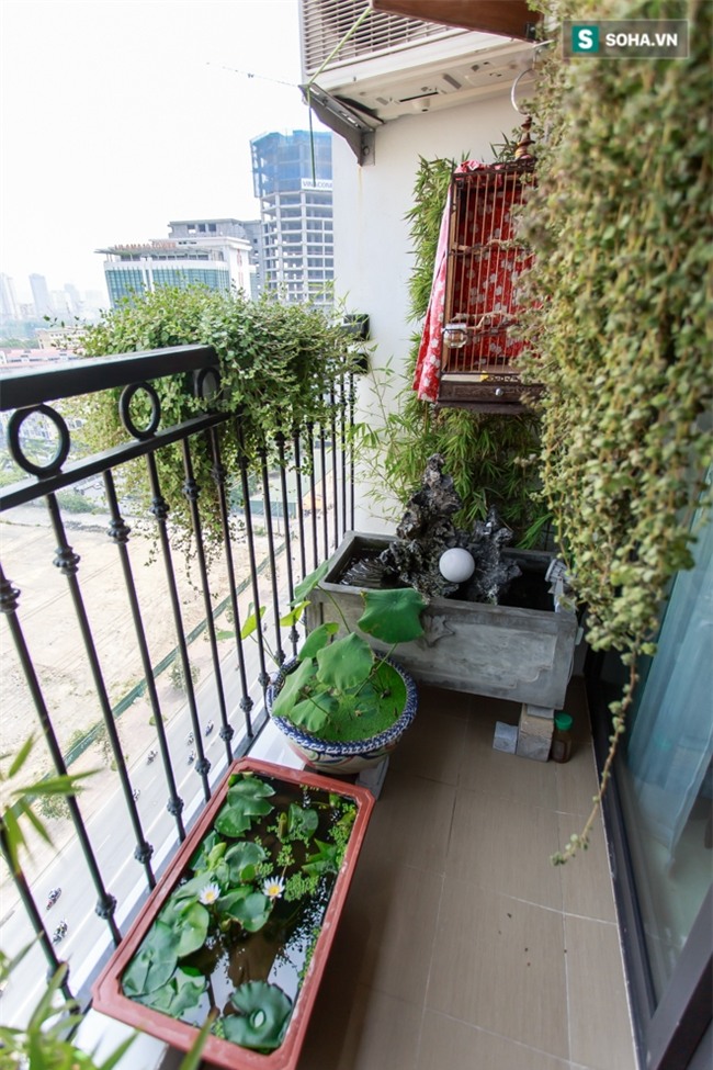 Cuộc sống trái ngược nhau của dàn diễn viên phim Người phán xử - Ảnh 4.