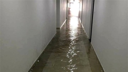 Chung cu cao cap sap tran, vo be phot, am anh chat luong hinh anh 3