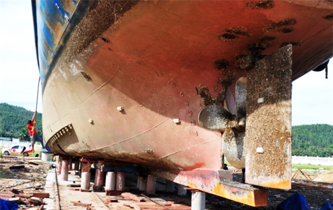 Ngu dan tran tinh ly do rut don kien vu tau thep chuc ty nam bo hinh anh 2