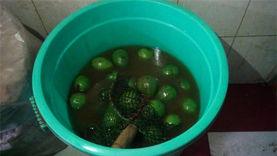 Số bơ đang ngâm hóa chất tại cơ sở của Đào