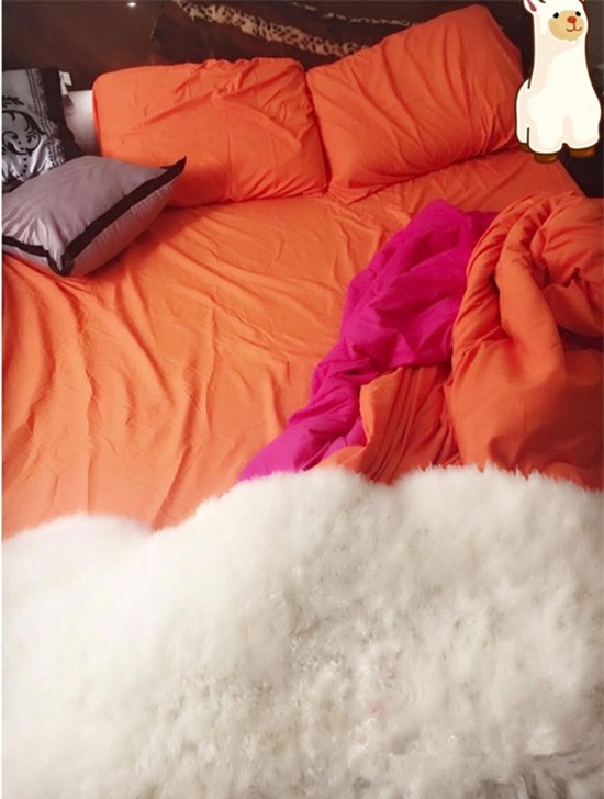 Ngọc Trinh, Khánh My, sao Việt