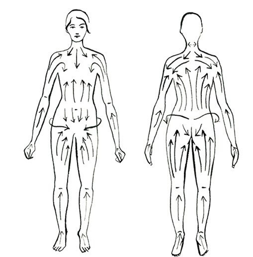 Sáng mai bạn hãy thử chải da khô, phương pháp cổ truyền nghìn năm giúp da trẻ hóa, săn chắc, mịn màng nhé! - Ảnh 3.