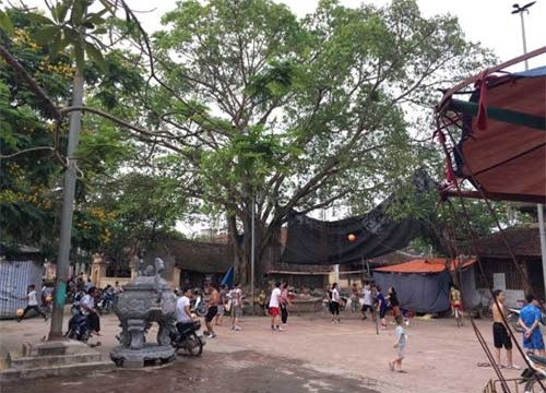 gan nha chau be 35 ngay tuoi chet trong chau nuoc, mot be trai 9 tuoi suyt bi bat coc - 1