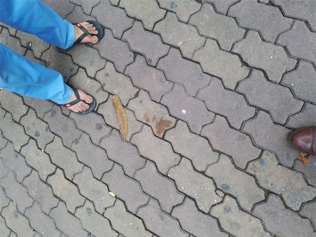 Hà Nội: Mặc con gái gào khóc, người đàn ông vẫn đấm liên tiếp vào mặt vợ đến chảy máu trên phố Xã Đàn - Ảnh 5.