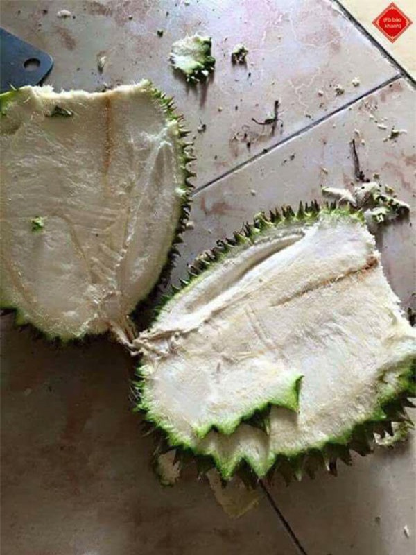 Đăng ảnh bổ sầu riêng của em rể tương lai để mua vui, chị vợ câm nín vì bị ném đá - Ảnh 6.