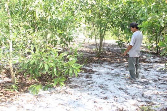 Bé gái 8 tuổi thoát chết sau khi bị sàm sỡ và ném xuống sông - Ảnh 1.