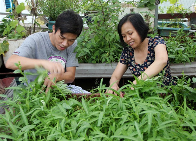 &quot;soai ca&quot; ha thanh chieu vo, pha mai ton de trong rau, nuoi ga hinh anh 3