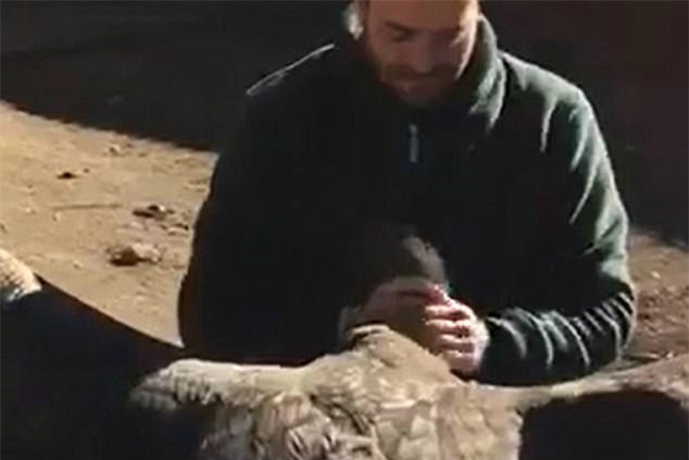 Chim khong lo bay ve tham an nhan cuu mang luc nho hinh anh 1