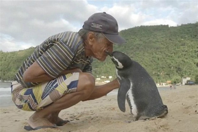 Chim khong lo bay ve tham an nhan cuu mang luc nho hinh anh 3