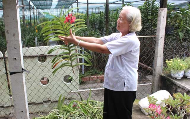 ba be lam vuon lan rat lon, moi nam kiem gan nua ty hinh anh 6