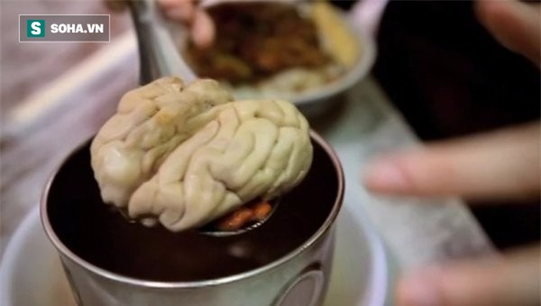 Cải thiện trí nhớ không cần dùng thuốc: 5 thực phẩm bổ não có nhiều ở Việt Nam - Ảnh 4.