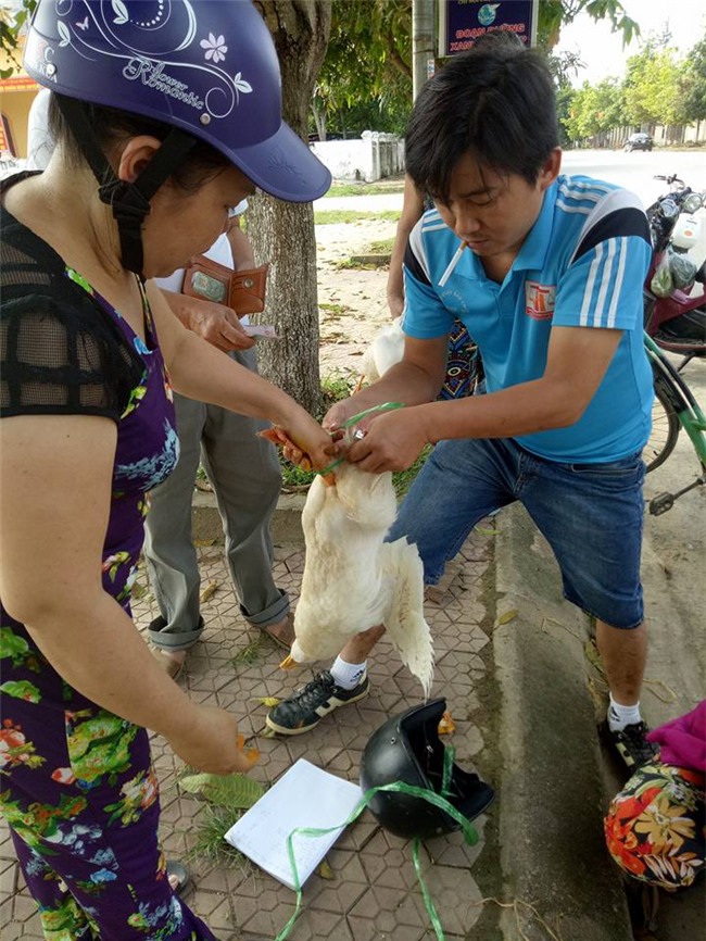 nghe an: xum tay "giai cuu' vit cho nong dan, gia 70.000 dong/con hinh anh 2