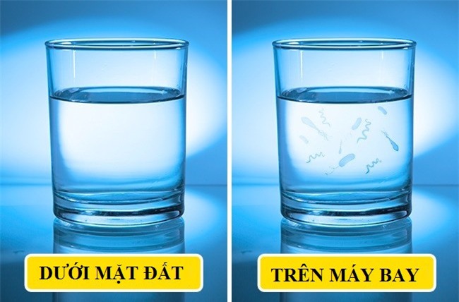 Nhung dieu ky la xay ra voi co the khi di may bay hinh anh 9