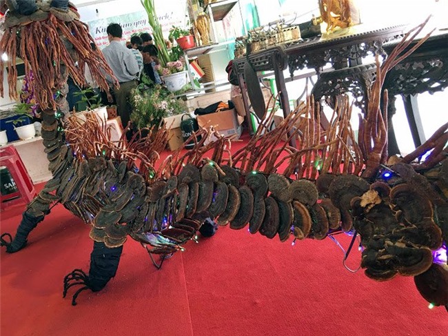 nấm lim xanh, nấm lim, chữa ung thư