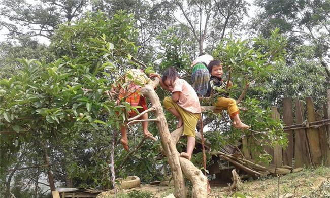Cô giáo về nghỉ hè rồi không quay lại nữa và nỗi nhớ của những đứa trẻ vùng cao lấm lem bùn đất - Ảnh 1.