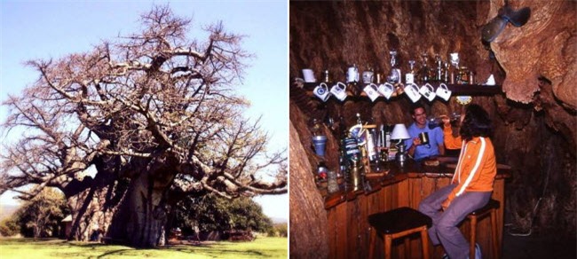 nhung quan bar ky quac nhat the gioi hinh anh 7