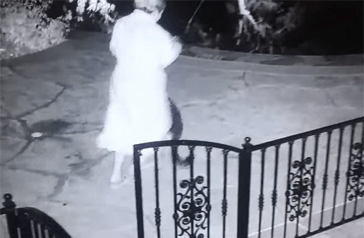 Nửa đêm ra sân nhặt đồ chơi cho chó, người phụ nữ chạy tóe khói vì nắm trúng con rắn đuôi chuông - Ảnh 2.