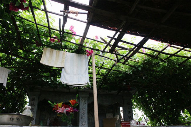 Chuyện tình yêu của cụ ông tự tay trồng và chăm sóc cả một vườn hoa ngát hương bên mộ phần người vợ đã khuất - Ảnh 7.