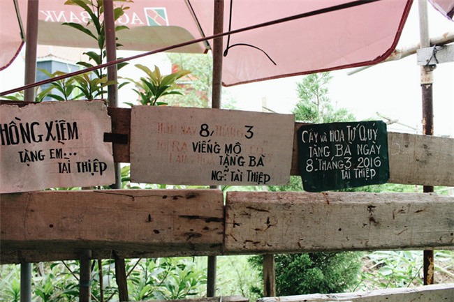 Chuyện tình yêu của cụ ông tự tay trồng và chăm sóc cả một vườn hoa ngát hương bên mộ phần người vợ đã khuất - Ảnh 7.