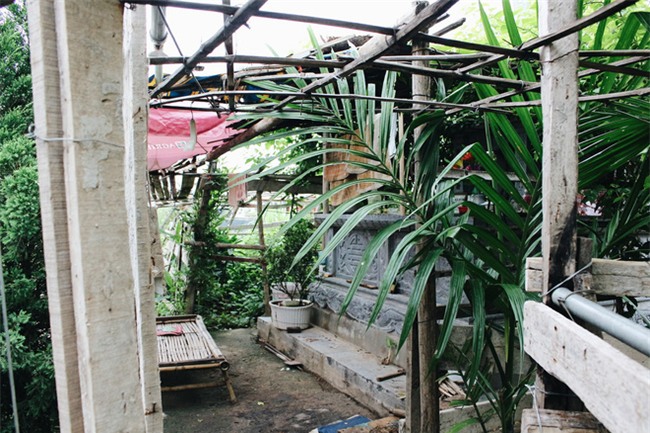 Chuyện tình yêu của cụ ông tự tay trồng và chăm sóc cả một vườn hoa ngát hương bên mộ phần người vợ đã khuất - Ảnh 7.