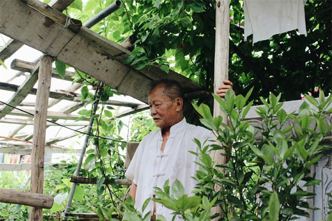 Chuyện tình yêu của cụ ông tự tay trồng và chăm sóc cả một vườn hoa ngát hương bên mộ phần người vợ đã khuất - Ảnh 1.