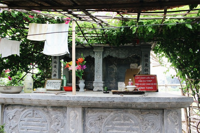 Chuyện tình yêu của cụ ông tự tay trồng và chăm sóc cả một vườn hoa ngát hương bên mộ phần người vợ đã khuất - Ảnh 3.