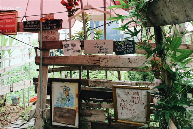 Chuyện tình yêu của cụ ông tự tay trồng và chăm sóc cả một vườn hoa ngát hương bên mộ phần người vợ đã khuất - Ảnh 5.