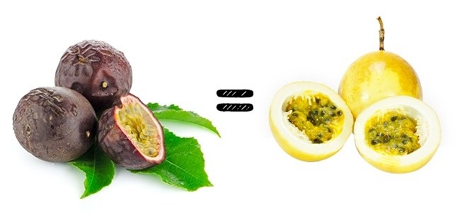 Muốn mua dứa ngon phải nhìn vào lá, còn bơ ngon thì phải nhìn vào… - Ảnh 7.